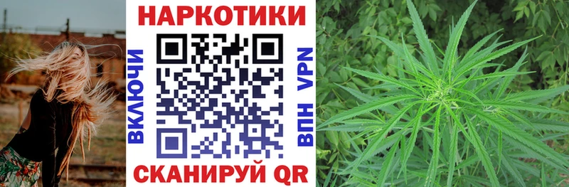 Где купить наркотики Волгоград КОКАИН  Псилоцибиновые грибы  АМФЕТАМИН  Гашиш  Бутират  Марихуана  Меф 