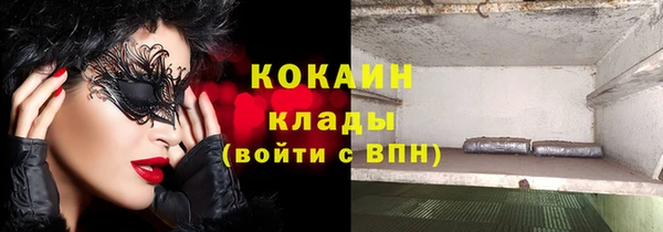ешки Аркадак