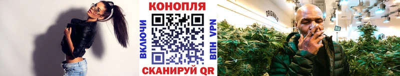 Бошки Шишки тримм  Волгоград 